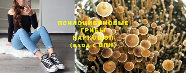 каннабис Арсеньев