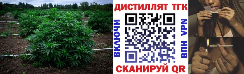 магазин продажи   Высоцк  Дистиллят ТГК THC oil 