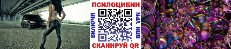 Псилоцибиновые грибы ЛСД сколько стоит MEGA ССЫЛКА Высоцк