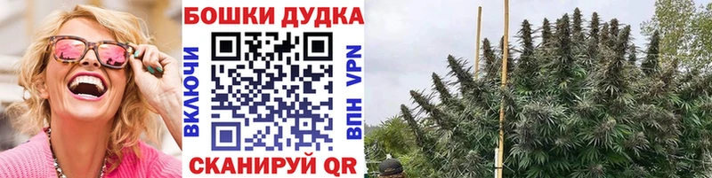 мориарти формула Высоцк Канабис OG Kush сколько стоит